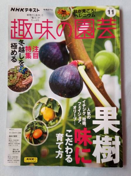 NHK テキスト【趣味の園芸】2024年 11月号