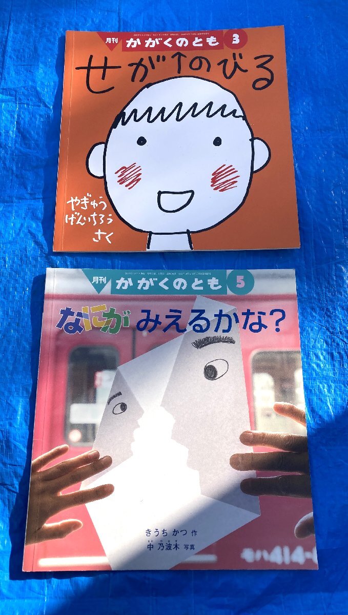 2025年最新】Yahoo!オークション -かがくのとも 冊(絵本)の中古 2025年最新】Yahoo!オークション -かがくのとも 冊(絵本)の中古