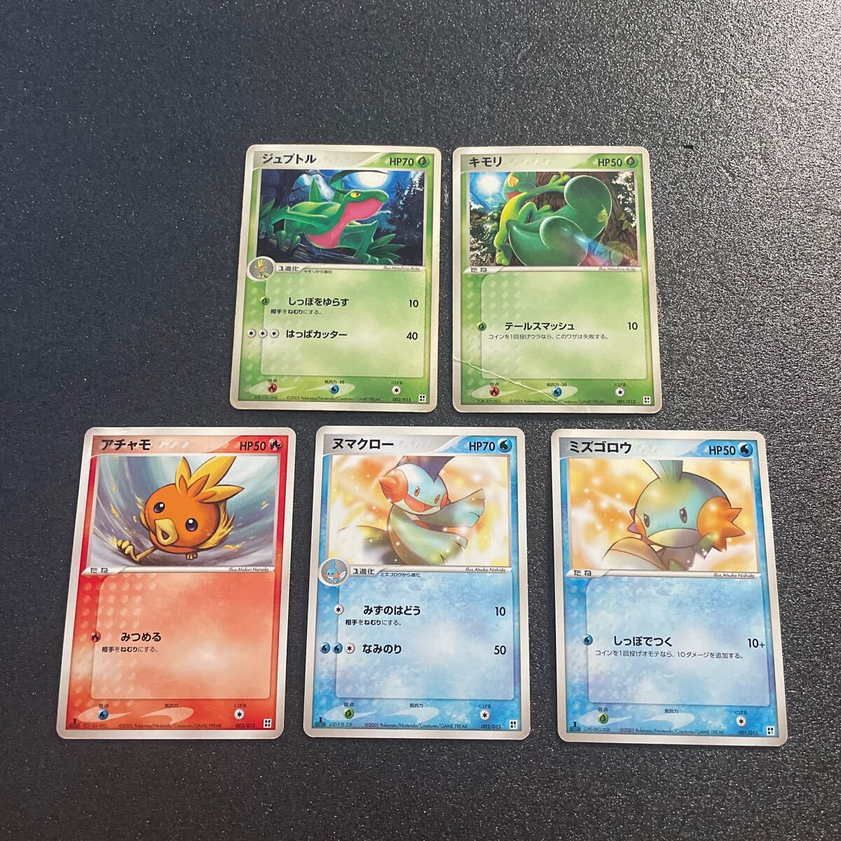 2025年最新】Yahoo!オークション -ポケモンカード キモリ