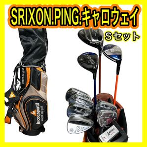 スリクソン765.ビッグバーサ.G30等セット 10本ルコックバッグ付Sセット