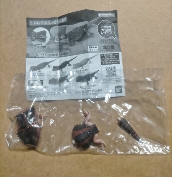 送料込 フトアゴヒゲトカゲ(ダークレッド) いきもの大図鑑レプティ ニホンヤモリとフトアゴヒゲトカゲ バンダイ