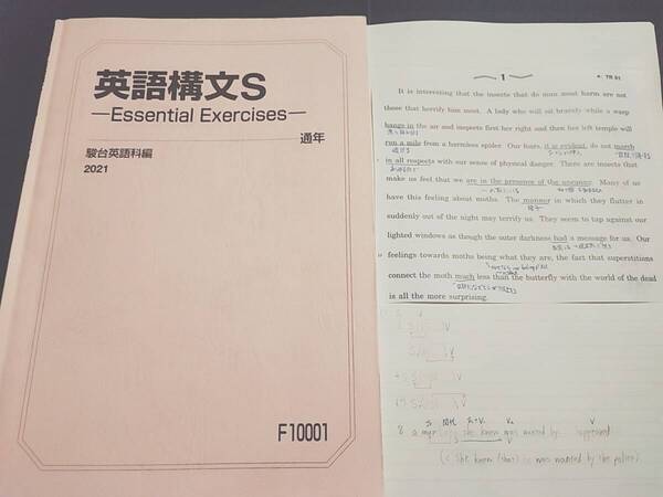 駿台 21年通期 桜井先生 英語構文S テキスト・板書 上位クラス 河合塾 駿台 鉄緑会 Z会 東進 SEG 英語