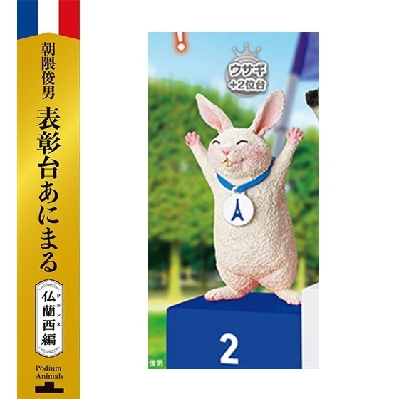 2025年最新】Yahoo!オークション -朝隈俊男(生き物)の中古品