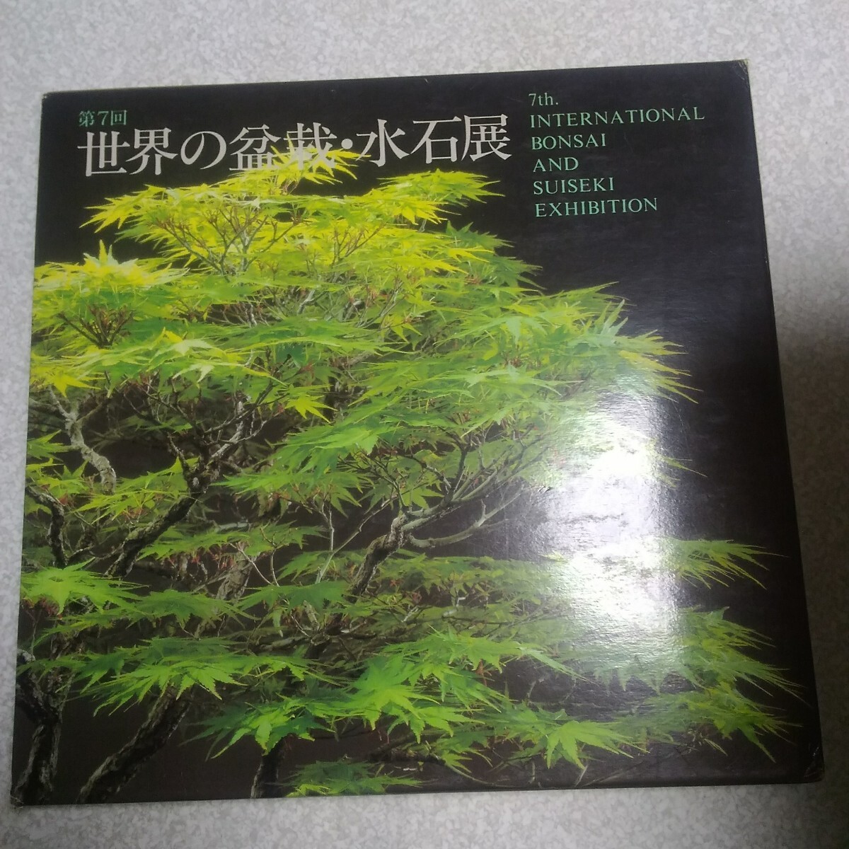 2025年最新】Yahoo!オークション -水石(本、雑誌)の中古品・新品 2025年最新】Yahoo!オークション -水石(本、雑誌)の中古品・新品