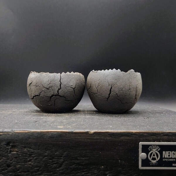SPS2 CELECTオリジナル手びねり BALL POT 2点セット 炭化焼成 ヒビ スタッズ 植木鉢 無釉鉢 1.5号 豆鉢