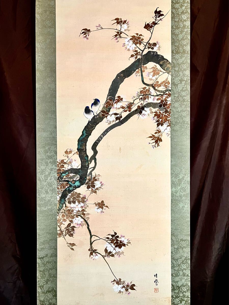 2025年最新】Yahoo!オークション -桜 掛け軸の中古品・新品・未 2025年最新】Yahoo!オークション -桜 掛け軸の中古品・新品・未