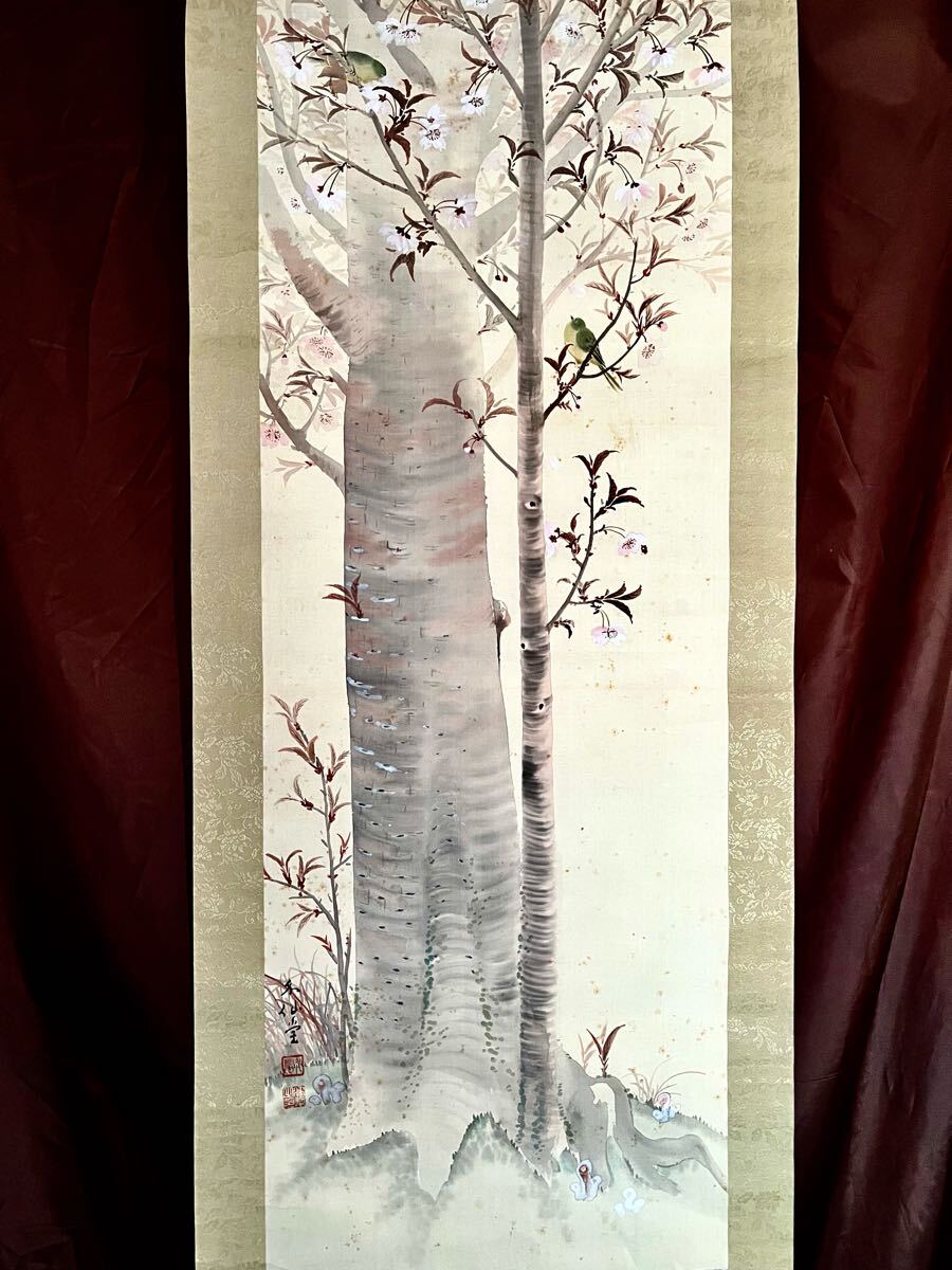 2025年最新】Yahoo!オークション -桜 掛け軸の中古品・新品・未 2025年最新】Yahoo!オークション -桜 掛け軸の中古品・新品・未