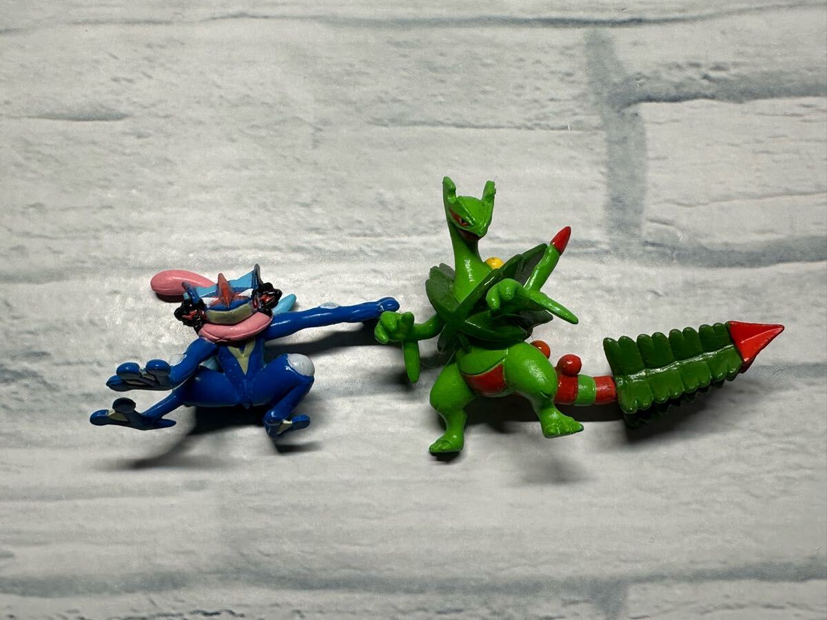 ポケットモンスター モンスターコレクション メガジュカイン