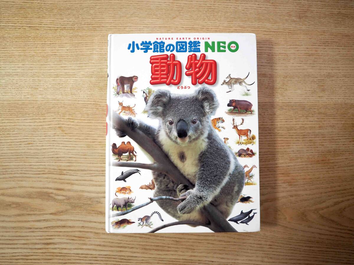 2025年最新】Yahoo!オークション -小学館動物図鑑(図鑑)の中古品 2025年最新】Yahoo!オークション -小学館動物図鑑(図鑑)の中古品