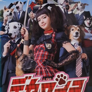 中古DVD デカワンコ SP