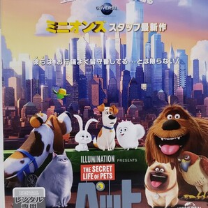 中古Blu-ray ペット