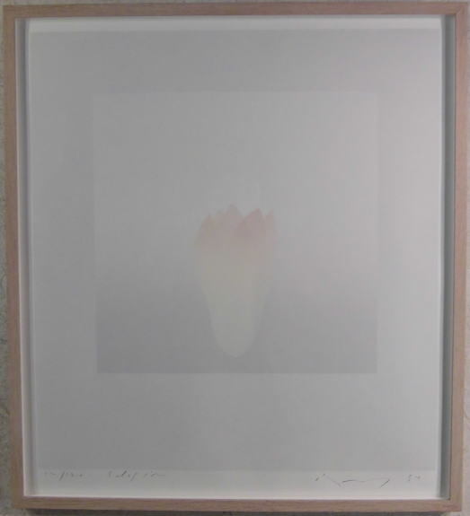 開花 絵画 井上公三 引き取り限定