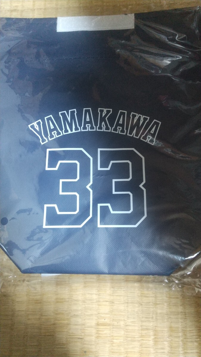2025年最新】Yahoo!オークション -ライオンズ 保冷の中古品