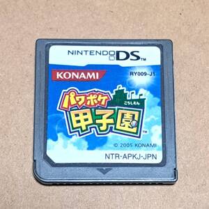 NINTENDO DS パワポケ甲子園