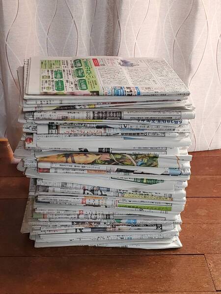 【送料込み】新聞紙 12kg 古新聞 折込チラシ無