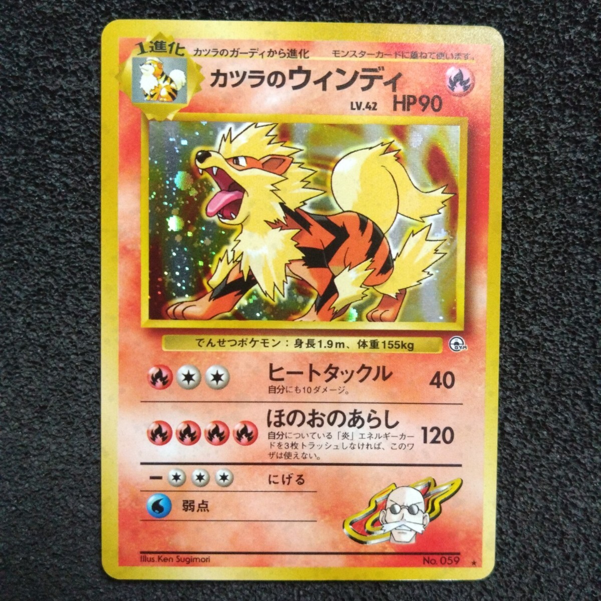 カツラのウィンディ　旧裏　極上品 Yahoo!オークション -「カツラのウインディ」の落札相場・落札価格