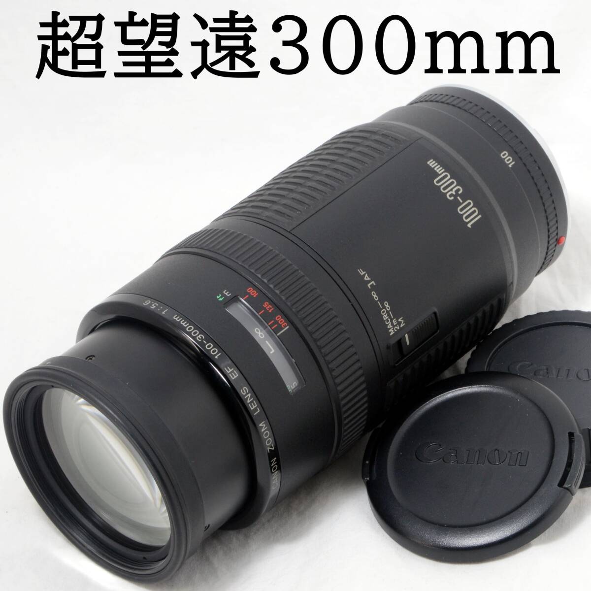 Yahoo!オークション -「ef 100-300mm f5.6」の落札相場・落札価格