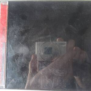 『CD CARNATION(カーネーション) / SPY FOR THE BAND(SINGLES+more) 』