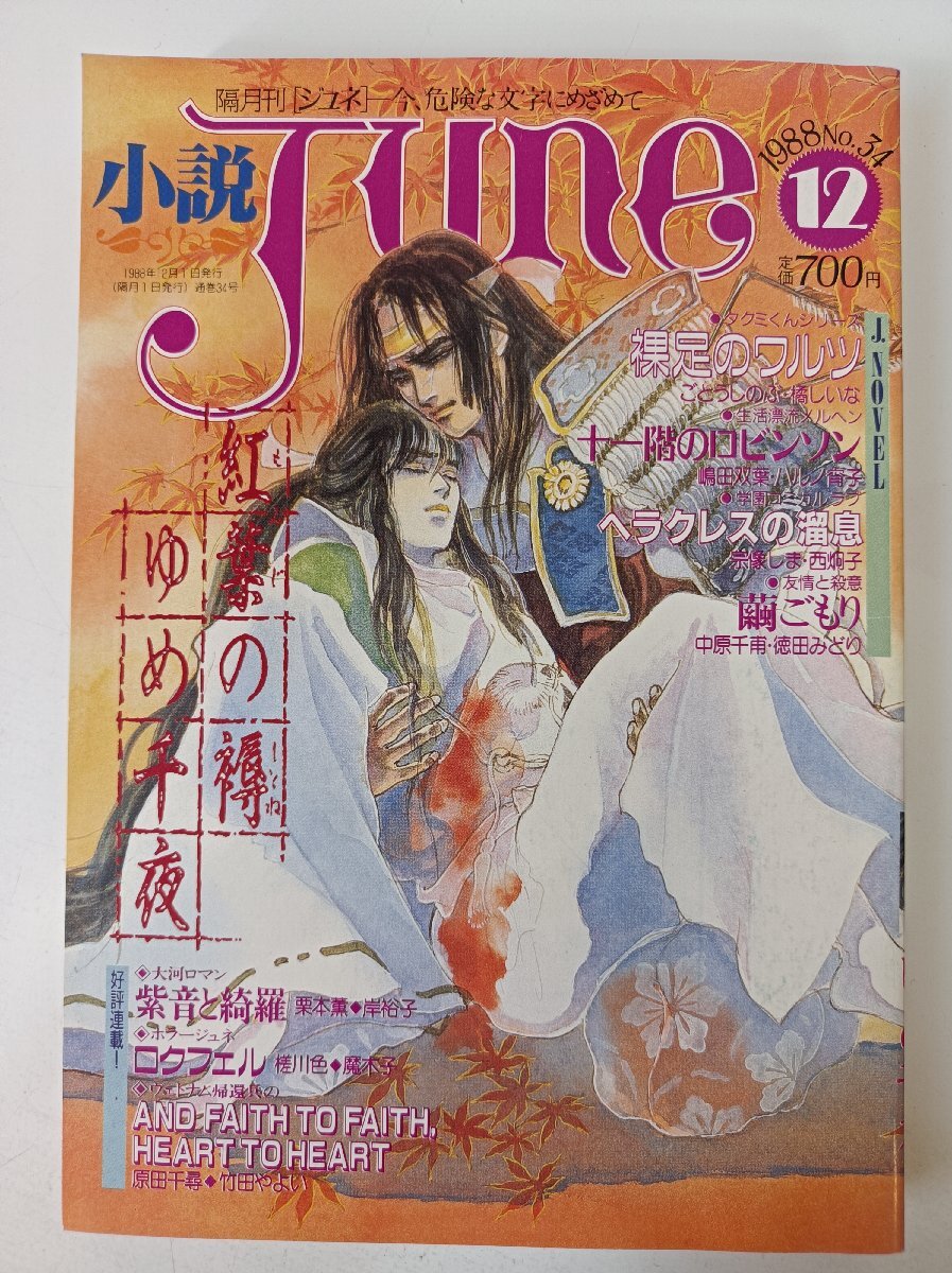 ★小説JUNE★No.29～36、41～44、46、48・49、128号★16冊 2025年最新】Yahoo!オークション -小説june(文学、小説)の中古品