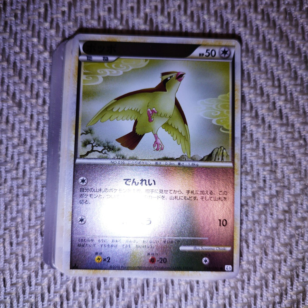 Yahoo!オークション -「ダーテング ポケモンカード」(まとめ売り Yahoo!オークション -「ダーテング ポケモンカード」(まとめ売り