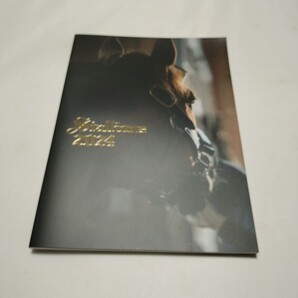 レックススタッド 種牡馬総合パンフレット Stallions2024 送料無料