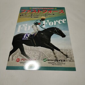 ファストフォース 種牡馬パンフレット 団野大成騎手 アロースタッド