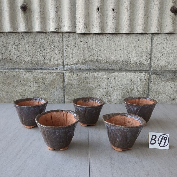 信楽焼 手造り山草鉢 丸中深 3,5号 / 11,5㎝ (茶) 未使用 B-⑲ 5個 山野草 古典植物 小品盆栽