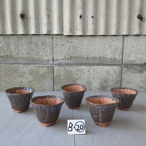 信楽焼 手造り山草鉢 丸中深 3,5号 / 11,5㎝ (茶) 未使用 5個 B-⑳ 山野草 古典植物 小品盆栽
