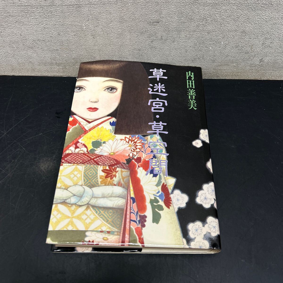Yahoo!オークション -「草迷宮草空間」の落札相場・落札価格 Yahoo!オークション -「草迷宮草空間」の落札相場・落札価格