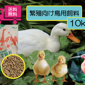 ☆送料無料 大袋1袋【アヒル・コールダック用繁殖、ヒナ向け飼料】10kg 水鳥全般用
