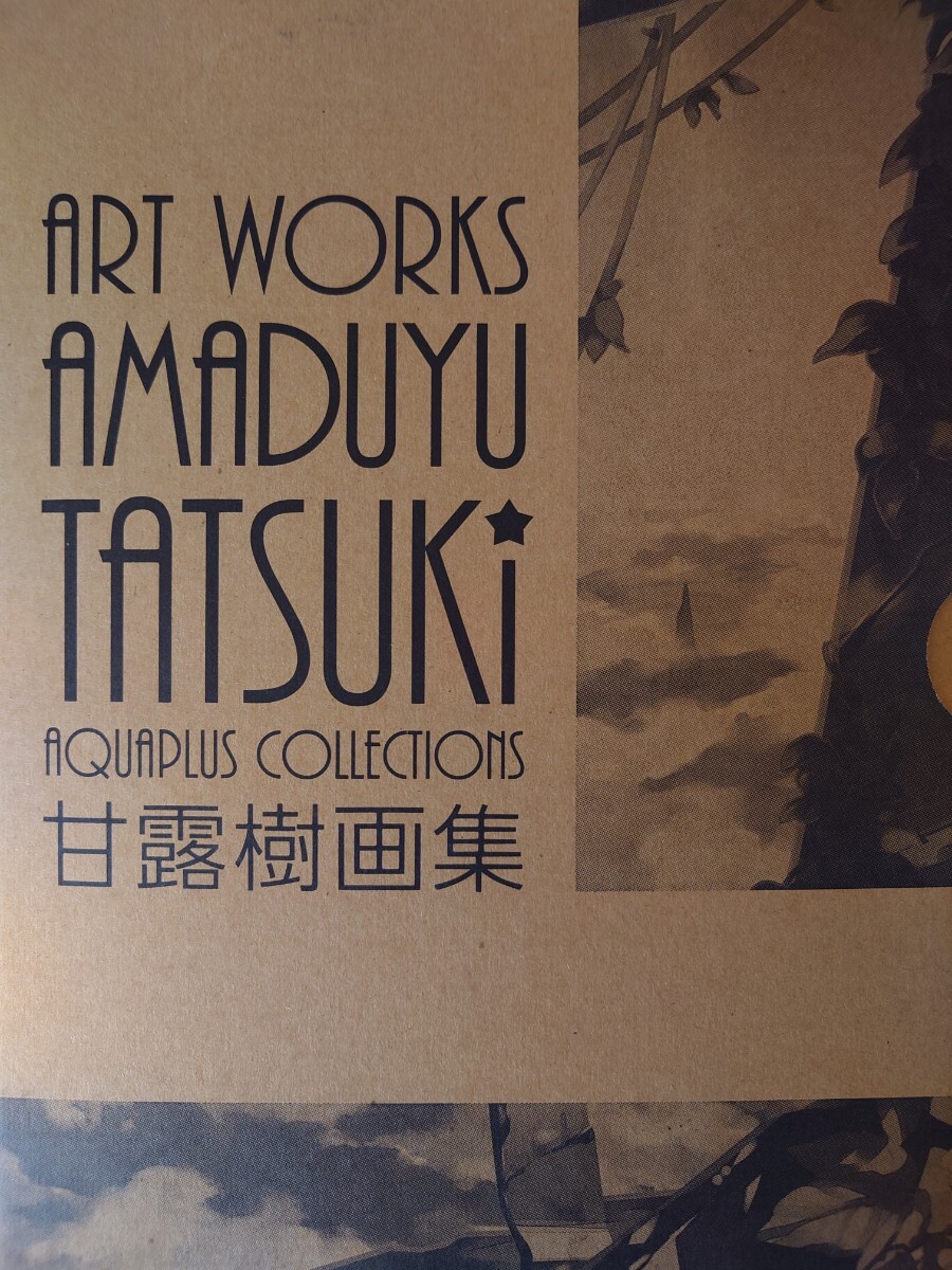 AMADUYU TATSUKi ARTWORKS 甘露樹 画集 - メルカリ