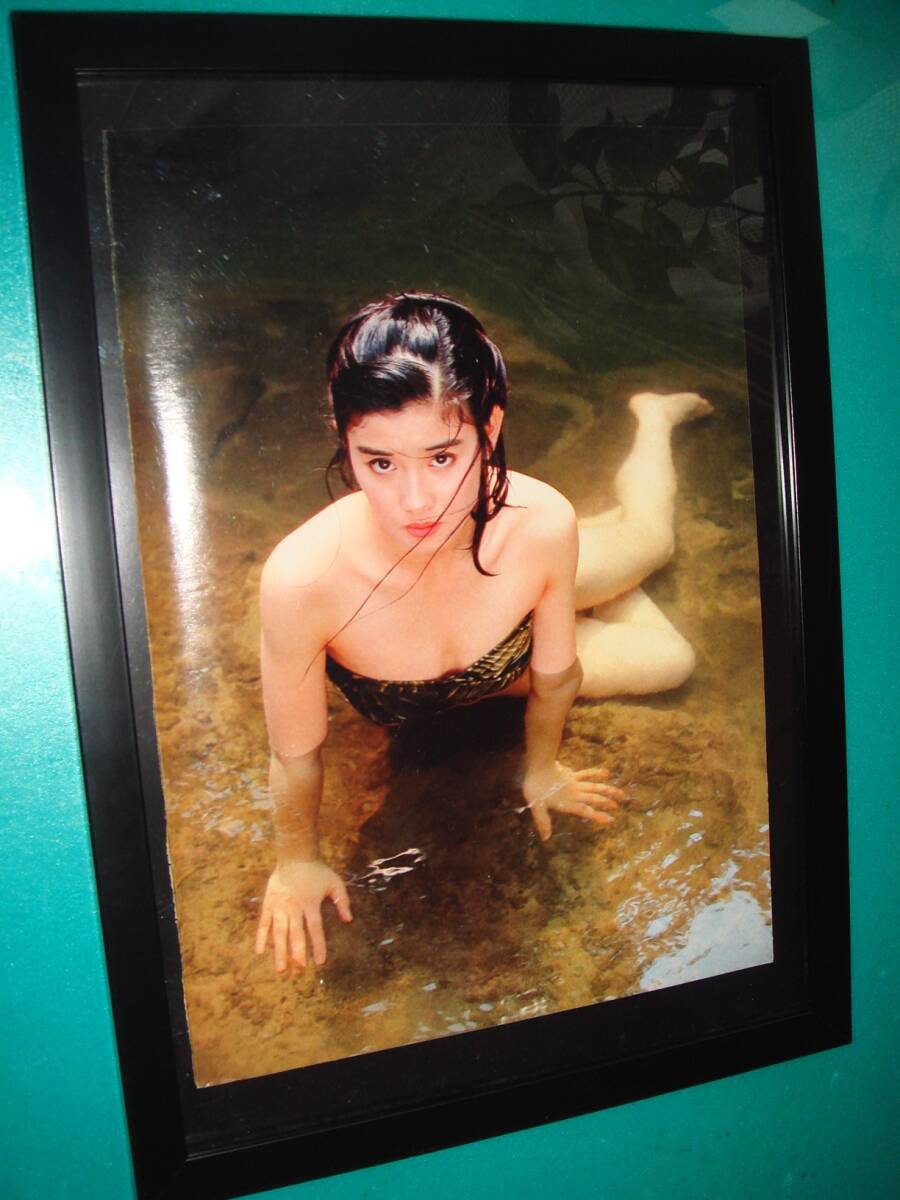 Amazon.co.jp: Hikari Ishida Photo Collection Lamination