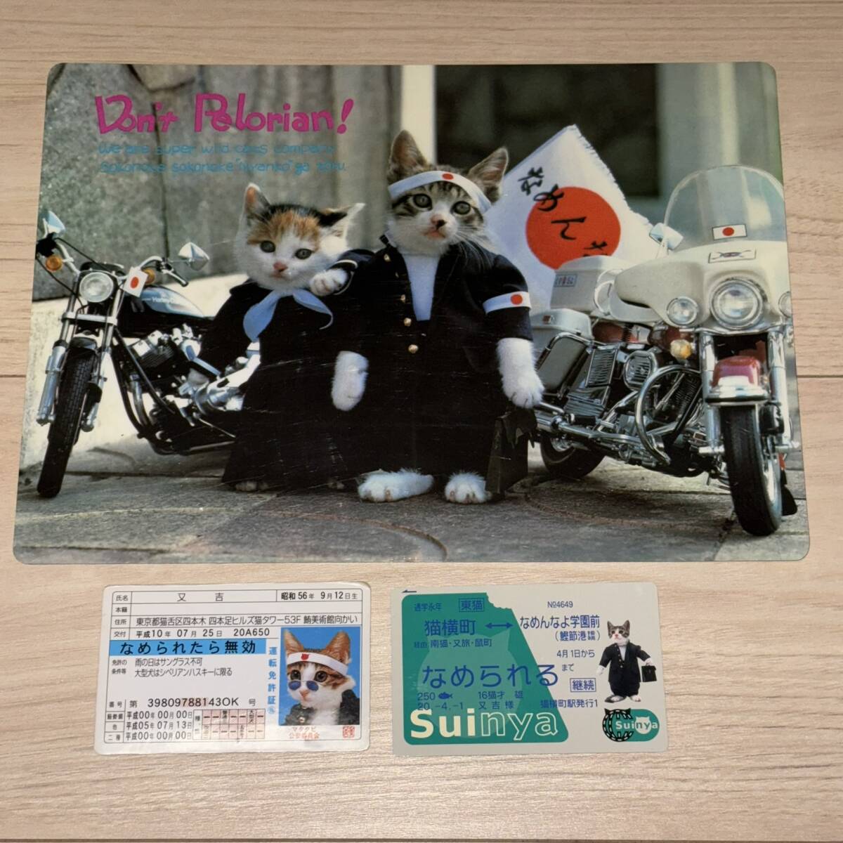 2025年最新】Yahoo!オークション -なめ猫 免許証 当時の中古品 2025年最新】Yahoo!オークション -なめ猫 免許証 当時の中古品