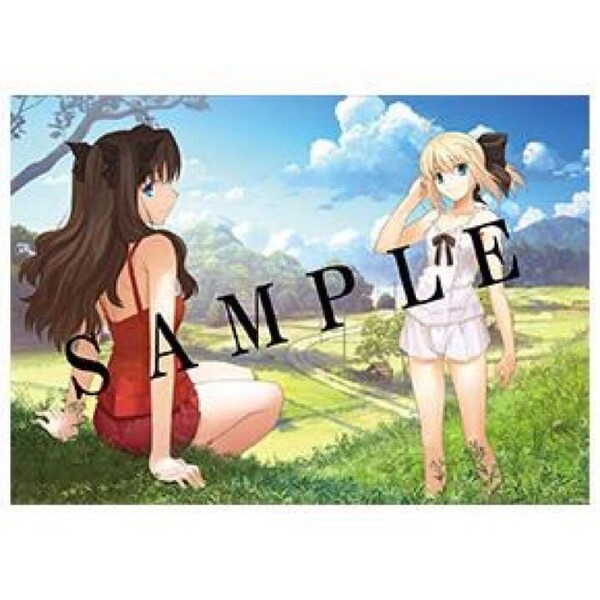 「Return to AVALON -武内崇Fate ART WORKS-」とらのあな限定版 有償特典特製B2タペストリー セイバー 凛