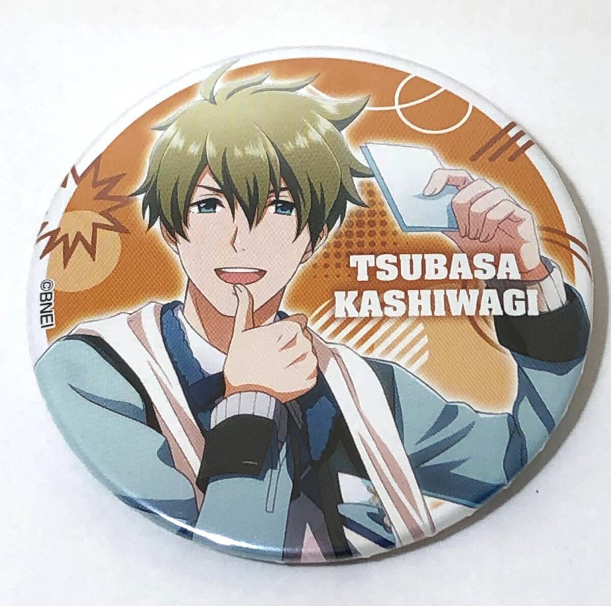 アイドルマスターSideM 柏木翼 まとめ売り アイドルマスター アイマス SideM 柏木翼 ぬいぐるみ まとめ売り