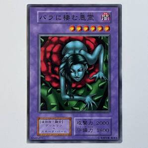 【初期】遊戯王 バラに棲む悪霊