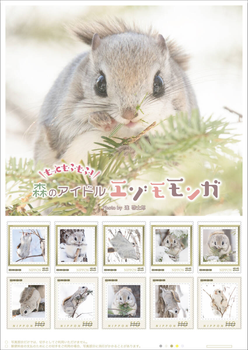 エゾモモンガ出品 エゾモモンガ特集～モモリンピック未放送ダイジェスト