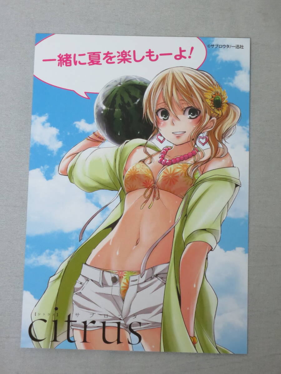 Amazon.co.jp: citrus citrus＋ サブロウタ 藍原芽衣 推しちゃれ