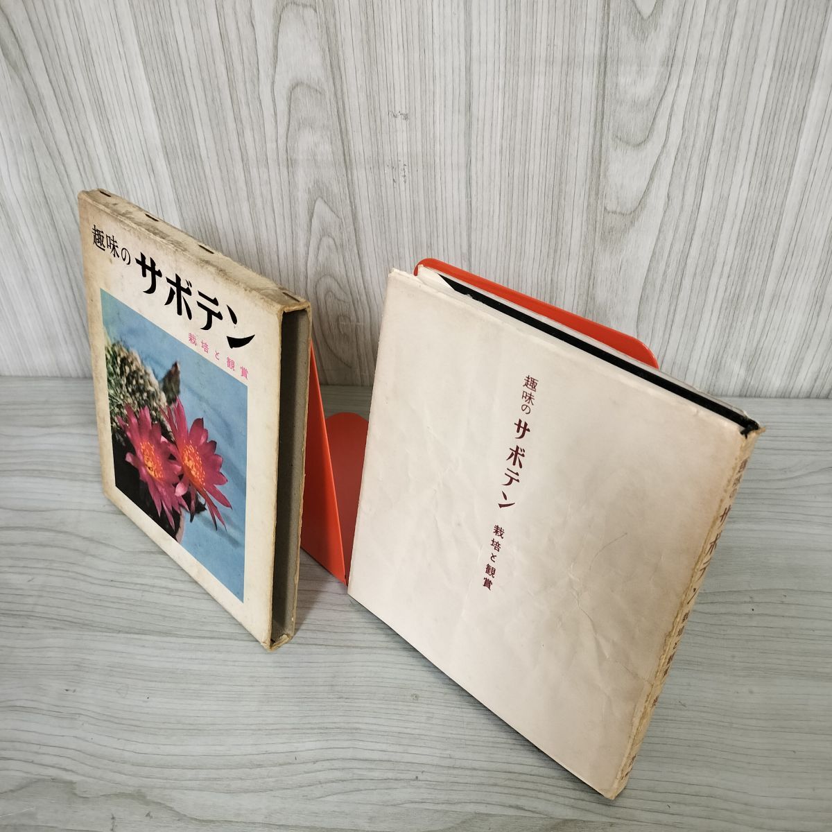 2025年最新】Yahoo!オークション -サボテン(本、雑誌)の中古品 2025年最新】Yahoo!オークション -サボテン(本、雑誌)の中古品