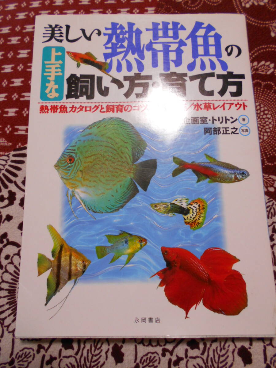2025年最新】Yahoo!オークション -ディスカス 熱帯魚(本、雑誌
