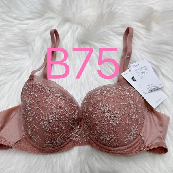 トリンプ 天使のブラ 30周年限定デザイン619 ブラジャー ブラウン B75