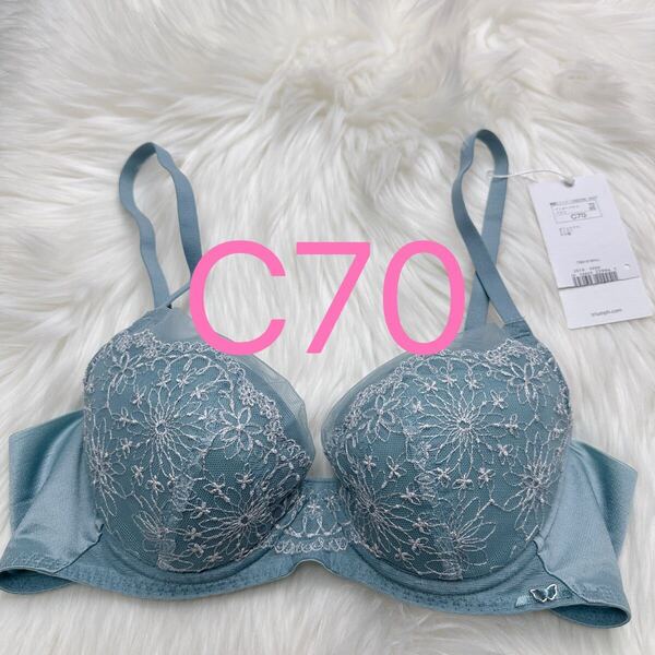 トリンプ 天使のブラ 30周年限定デザイン619 ブラジャー ブルー C70