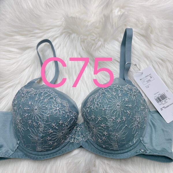 トリンプ 天使のブラ 30周年限定デザイン619 ブラジャー ブルー C75