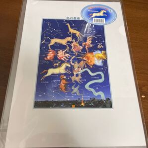 星座 クリアファイル 冬の星座 星の手帖社 星 天体 天文学 ファイル 新品未使用 未開封 送料無料