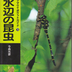 1531【300円+送料200円】《ポケット図鑑》ヤマケイ・ポケットガイド18「水辺の昆虫」2008年刊