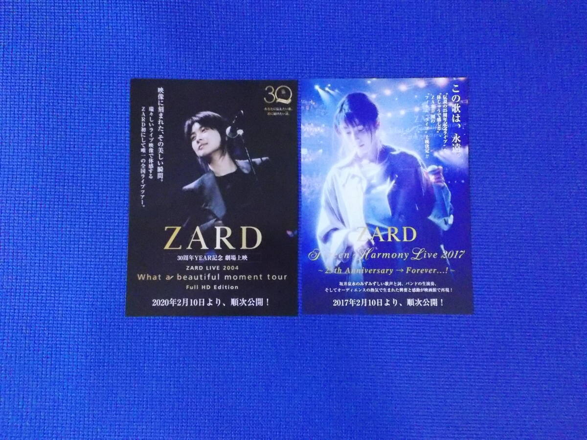 2025年最新】Yahoo!オークション -zard 坂井泉水(印刷物)の中古