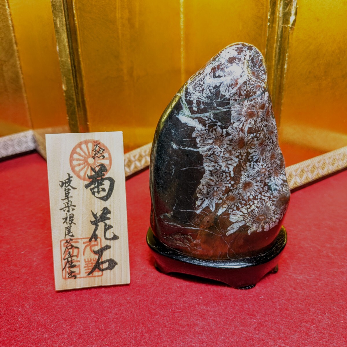 2025年最新】Yahoo!オークション -菊花石 根尾の中古品・新品 2025年最新】Yahoo!オークション -菊花石 根尾の中古品・新品