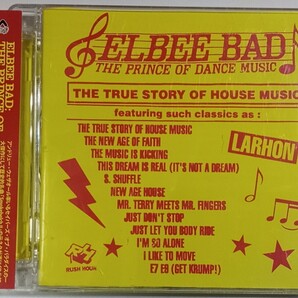 Elbee Bad 作品集 Rush Hour 監修 解説付 True Story Of House Music Nu Groove Andrew NY Deep Andrew Weatherall