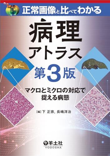 2025年最新】Yahoo!オークション -病理 アトラスの中古品・新品 2025年最新】Yahoo!オークション -病理 アトラスの中古品・新品