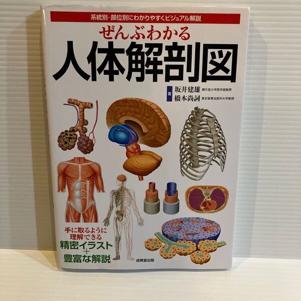 【送料込】ぜんぶわかる 人体解剖図 坂井建雄 成美堂出版 古本